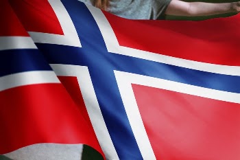 Person holding Iceland flag background, | Free Photo - rawpixel