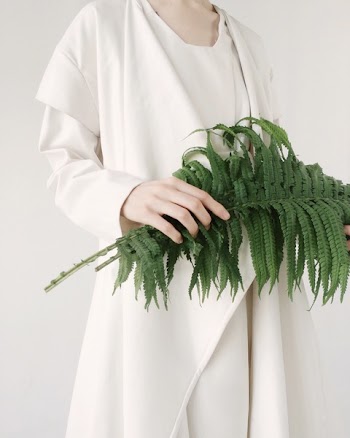Person Holding Leaves