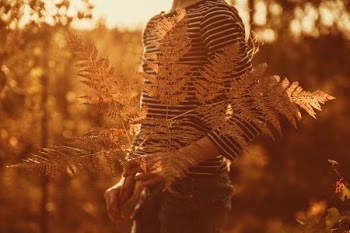person holding leaves