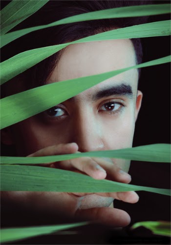 Person Holding Leaves of a Green Plant