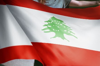 Person holding Lebanese flag background, | Free Photo - rawpixel