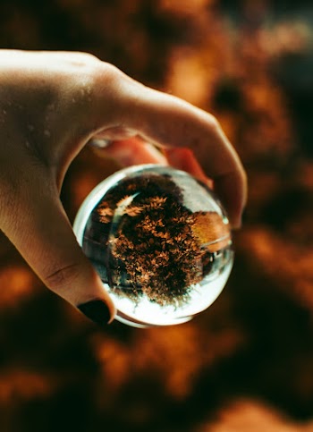 Person Holding Lensball