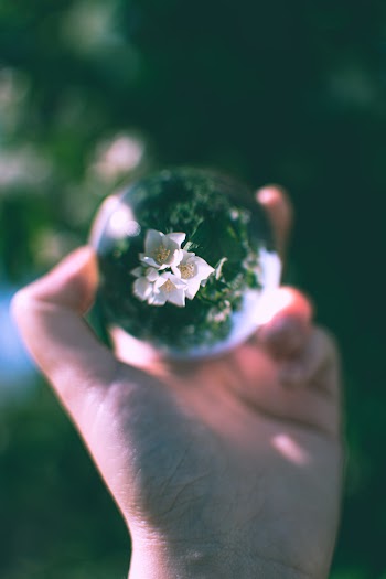 Person Holding Lensball
