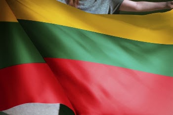 Person holding Lithuania flag background, | Free Photo - rawpixel