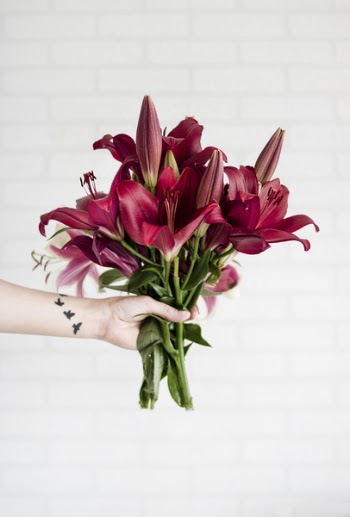 Person Holding Maroon Stargazer Flowers