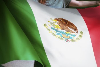 Person holding Mexican flag background, | Free Photo - rawpixel
