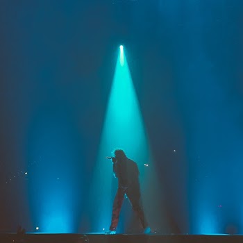 Person Holding Microphone on Stage