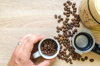 Person Holding Mug Filled With Coffee Beans
