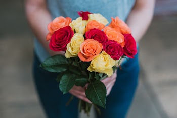 Person Holding Multicolored Petaled Flower Bouquet