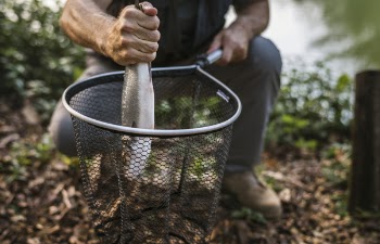 Person Holding Net and Caught Fish
