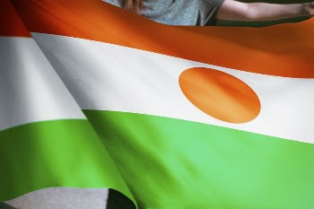 Person holding Niger flag background, | Free Photo - rawpixel