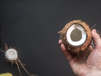 Person Holding Opened Coconut
