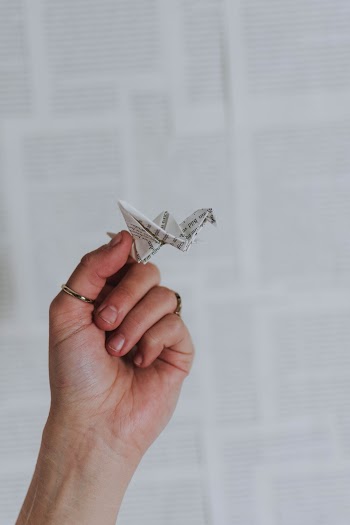 Person Holding Origami
