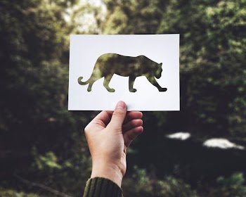 person holding panther paper art
