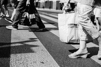 Person Holding Paper Bag
