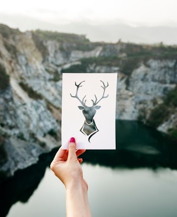 person holding photo of deer