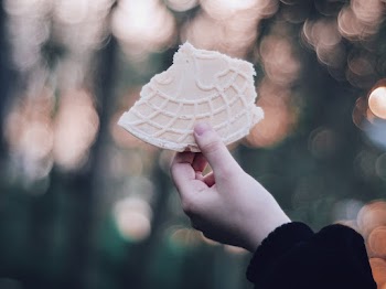 Person Holding Piece of Eaten Waffle