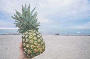Person Holding Pineapple Fruit
