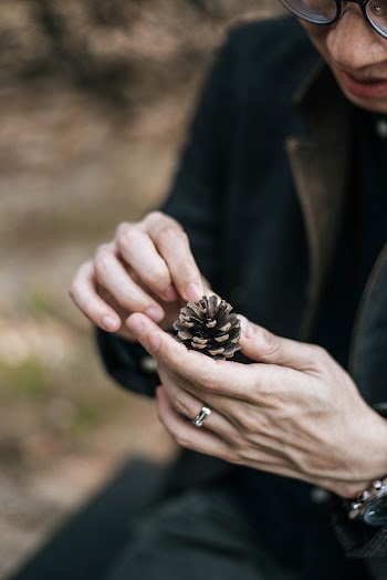 Person Holding Pinecone