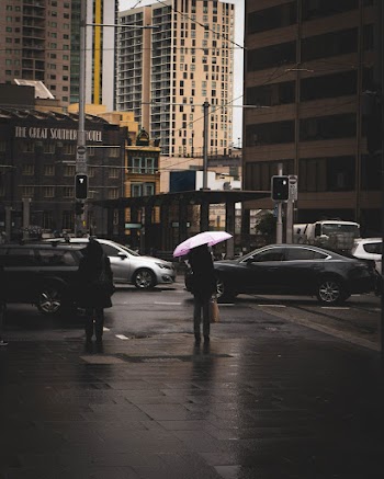 Person Holding Pink Umbrella