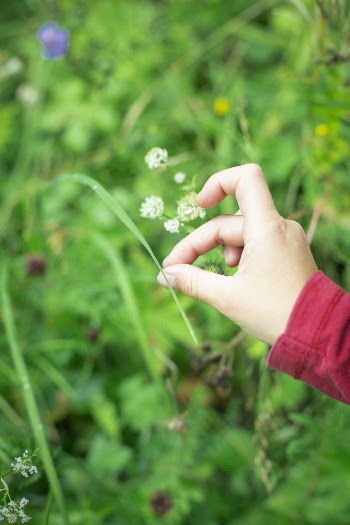 Person Holding Plant