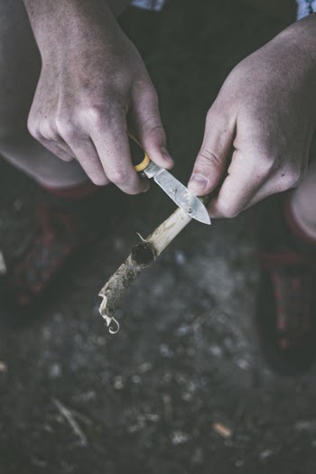 Person Holding Pocket Knife and Tree Branch