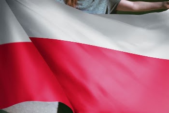 Person holding Poland flag background, | Free Photo - rawpixel