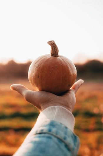 person holding pumpkin 