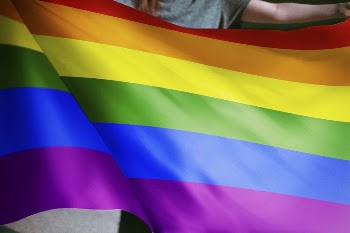 Person holding rainbow flag background, | Free Photo - rawpixel