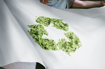 Person holding recycle tree flag, | Free Photo - rawpixel
