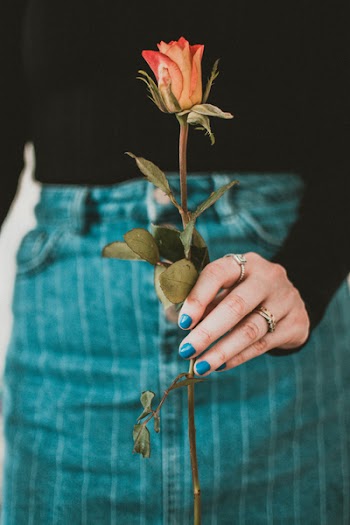 Person Holding Red Rose