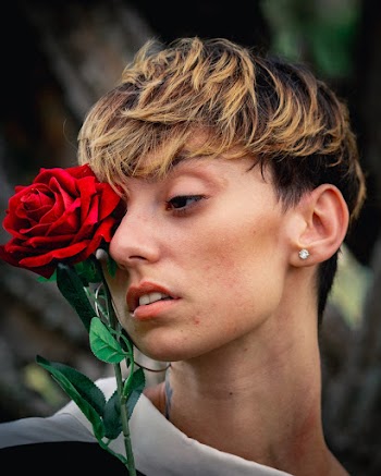 Person Holding Red Rose