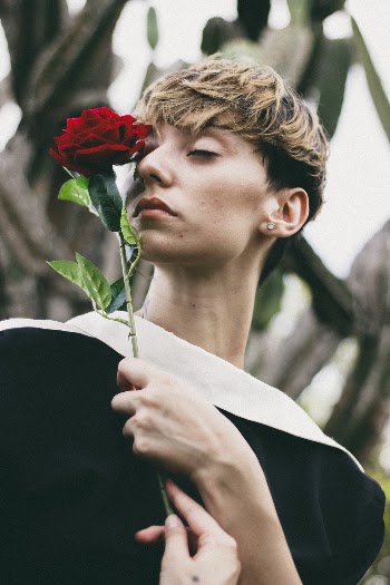Person Holding Red Rose