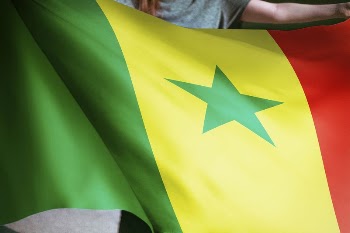 Person holding Senegal flag background, | Free Photo - rawpixel