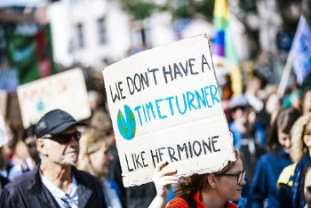 Person Holding Sign Board