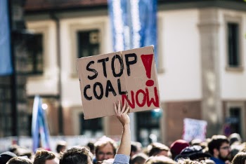 Person Holding Signage