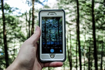Person Holding Silver Iphone 6