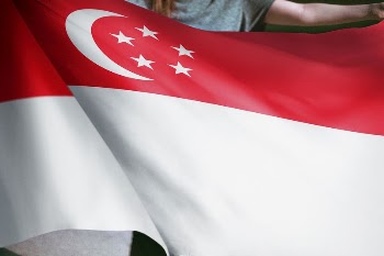 Person holding Singaporean flag background, | Free Photo - rawpixel