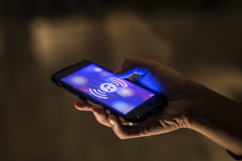 Person Holding Smartphone