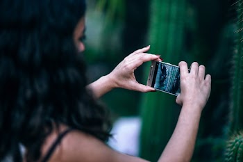 Person Holding Smartphone Taking Photo of Plant