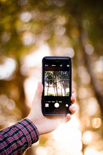Person Holding Smartphone Taking Photo of Woods during Golden Hour