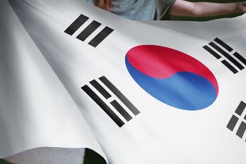 Person holding South Korean flag | Free Photo - rawpixel