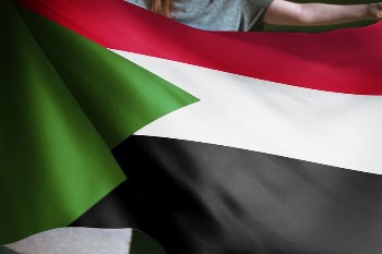 Person holding Sudan flag background, | Free Photo - rawpixel