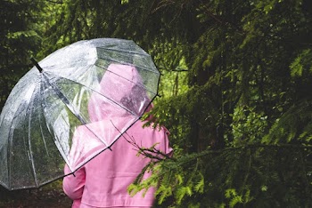 Person Holding Transparent Umbrella