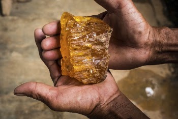 Person holding tree resin. Free | Free Photo - rawpixel