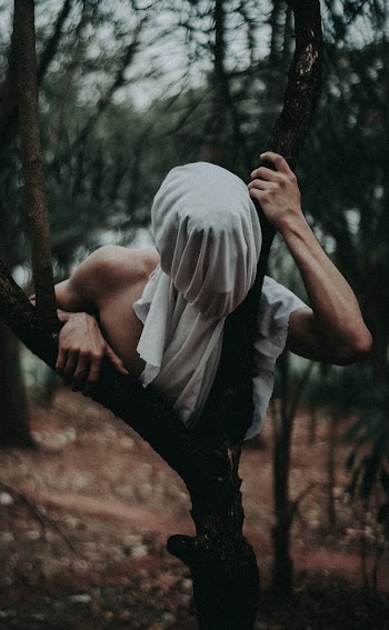 Person Holding Tree Trunk