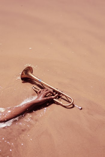 Person Holding Trumpet on Seashore
