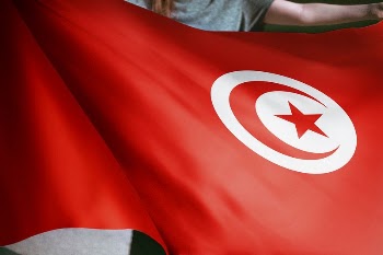 Person holding Tunisia flag background, | Free Photo - rawpixel
