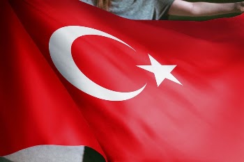 Person holding Turkey flag background, | Free Photo - rawpixel