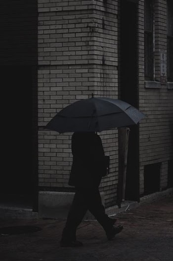 person holding umbrella walking on concrete pavement near building